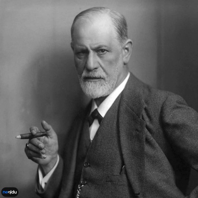 Freud Kimdir