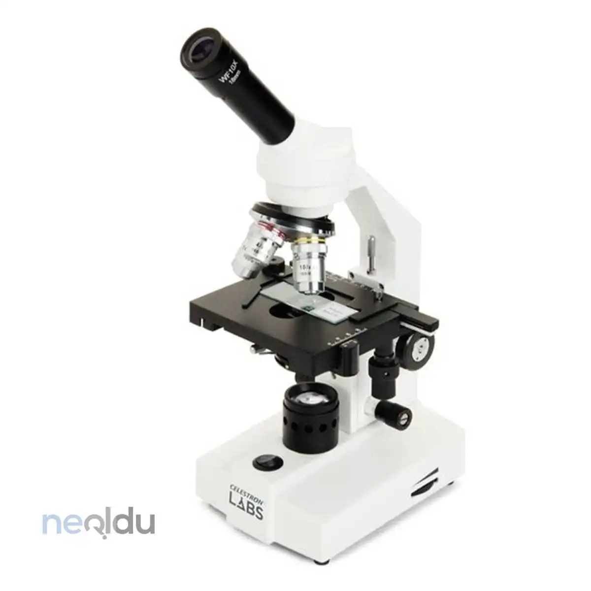 En İyi Mikroskop