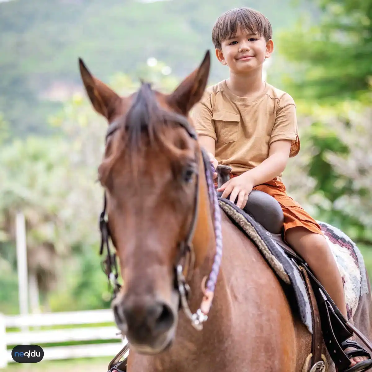 At binme eğitimi nedir ve çocuklar için neden önemlidir?