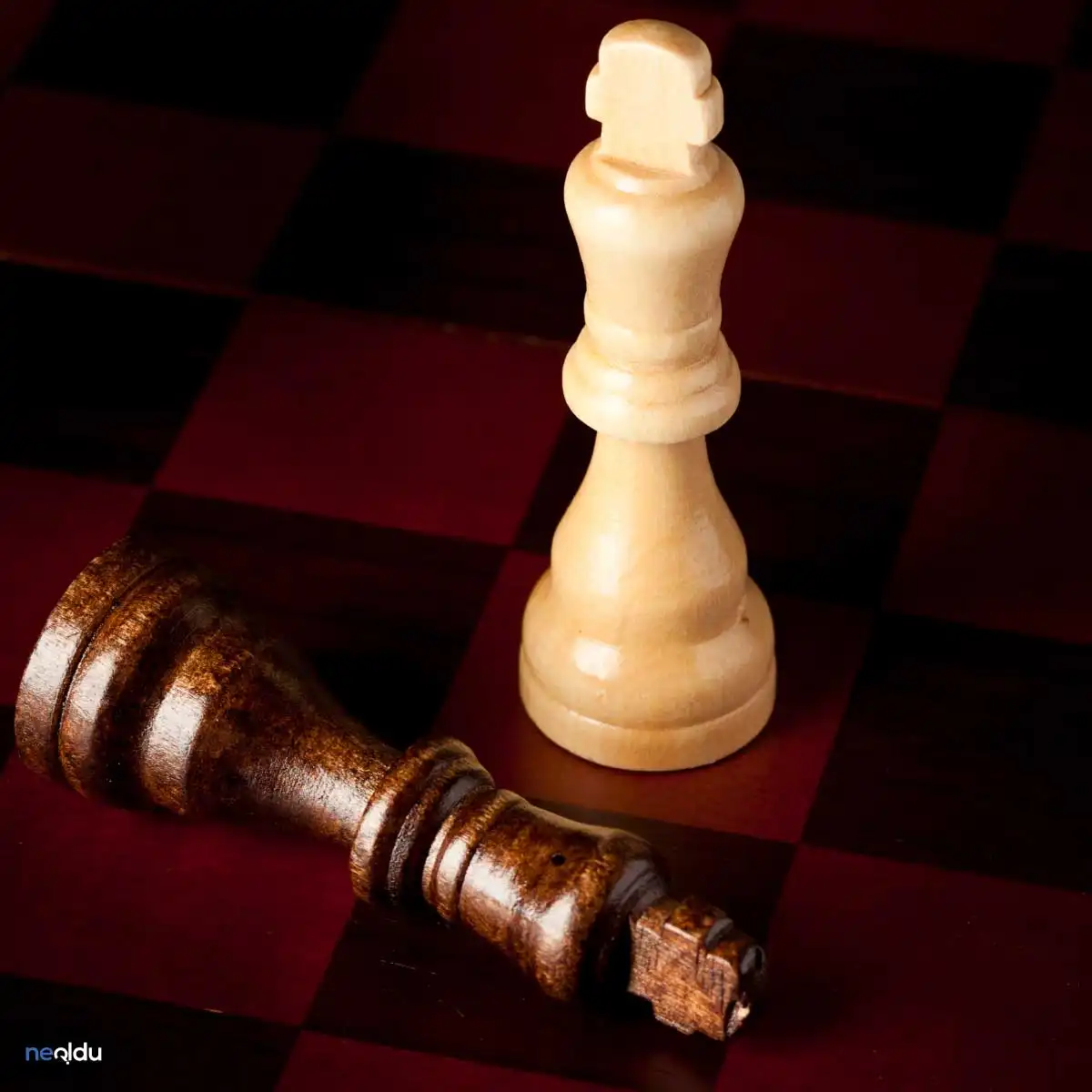 Satranç Hakkında Bilgi