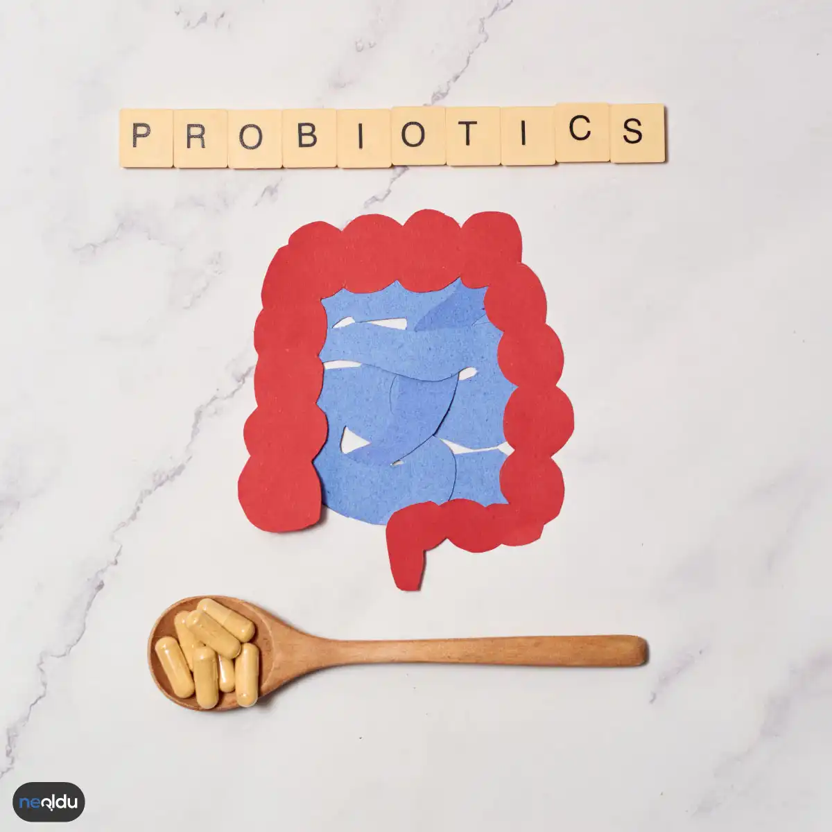 Probiyotik ve Prebiyotik Arasındaki Fark Nedir? Hangi Besinlerde Bulunurlar?