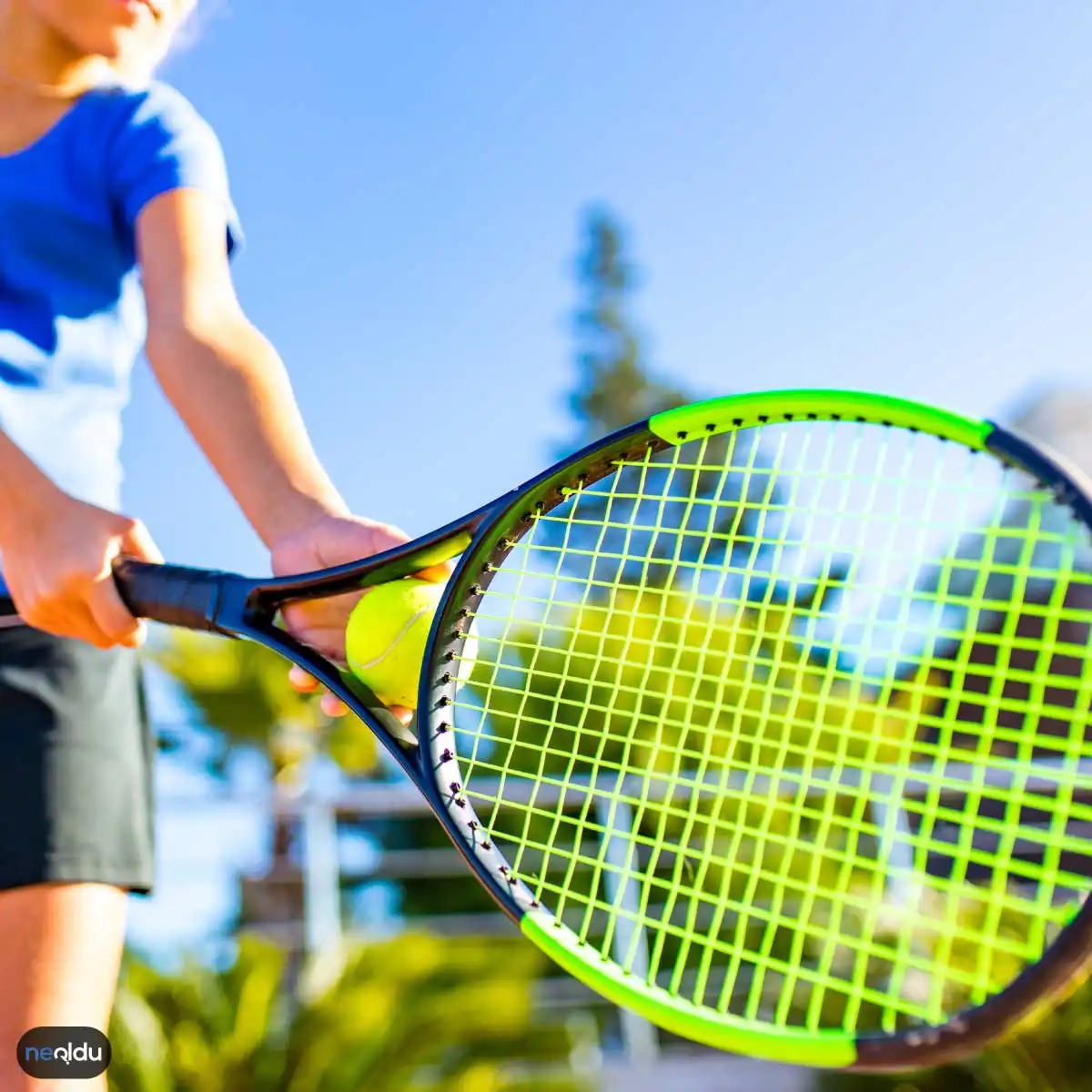 Tenis Hakkında Bilgi