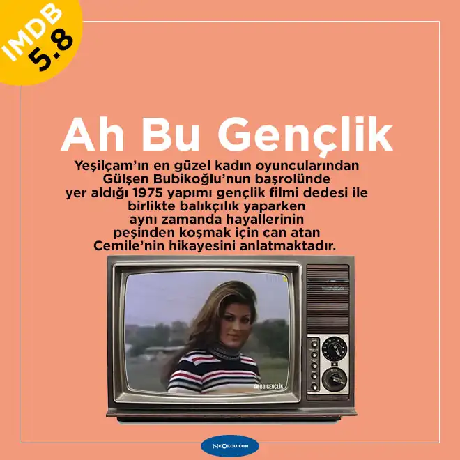 Türk Gençlik Filmleri