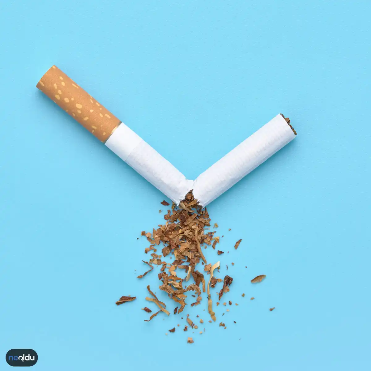 Sigara mı Tütün (Sarma Sigara) mü Daha Zararlı?