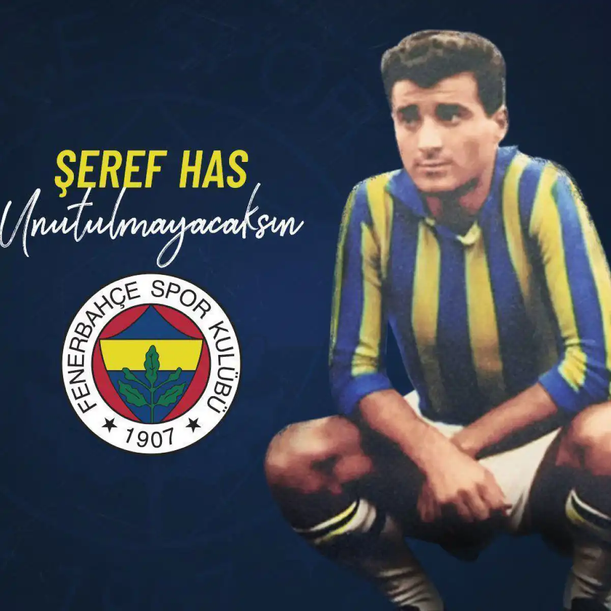 Fenerbahçe'nin En İyi Golcüleri