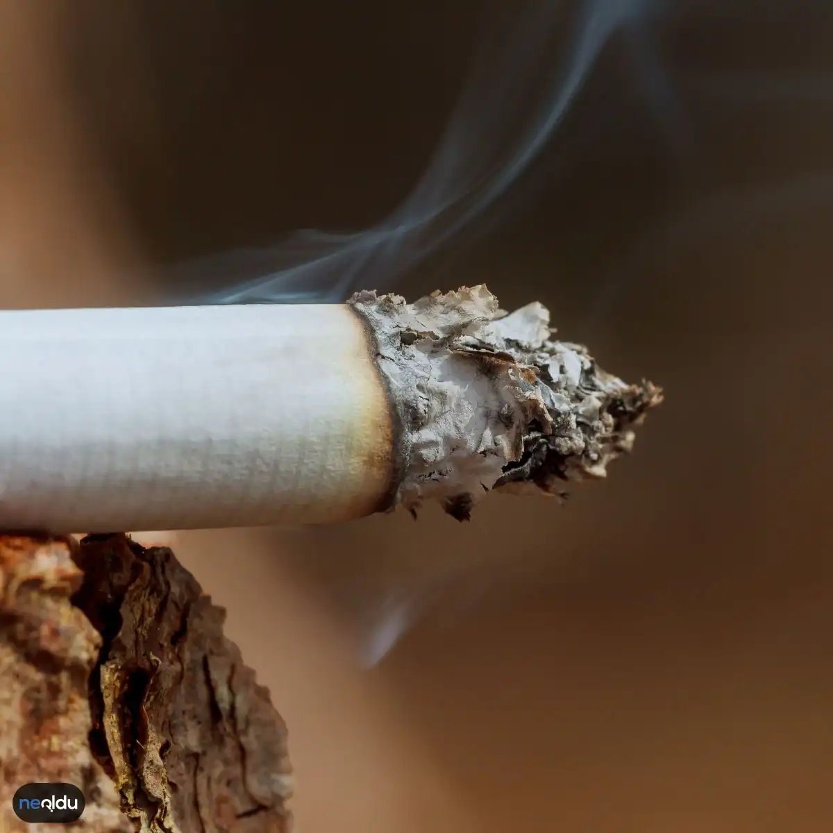 Elektronik Sigara mı Normal Sigara mı Zararlı?