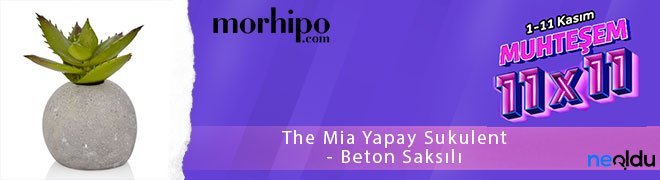 The Mia Yapay Sukulent - Beton Saksılı