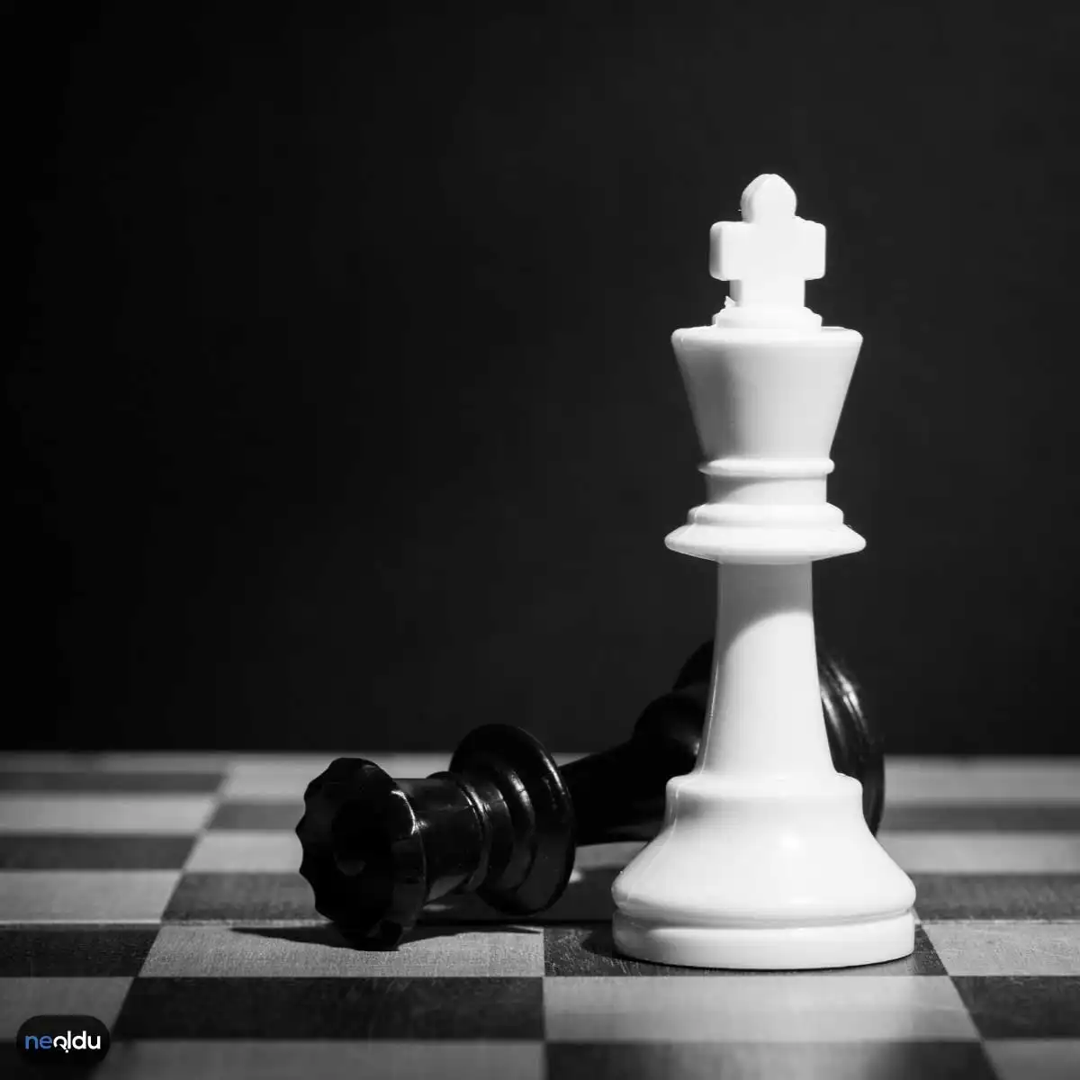 Satranç Hakkında Bilgi