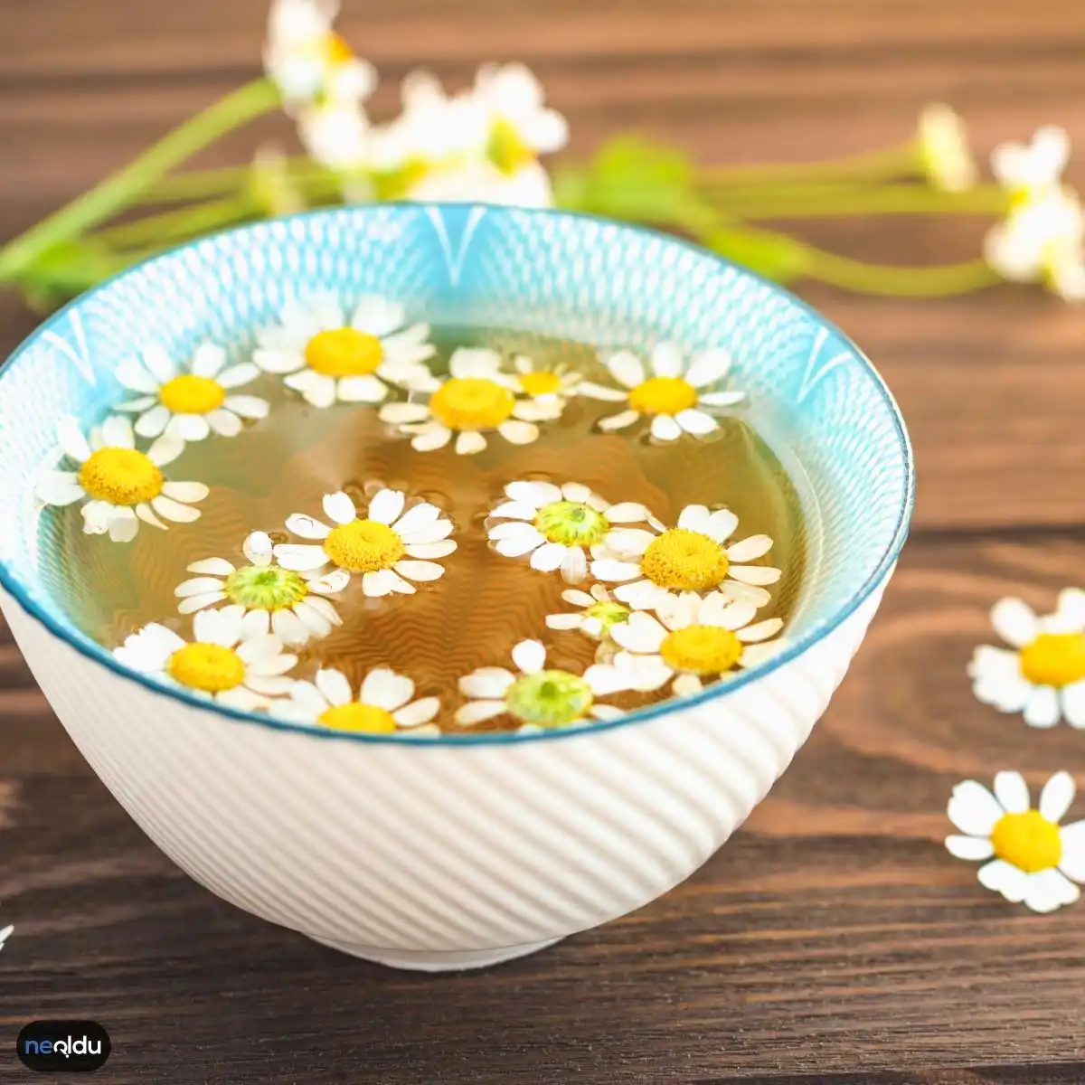 Ramazanı Rahat Geçirmenizi Sağlayacak Bitki Çayları