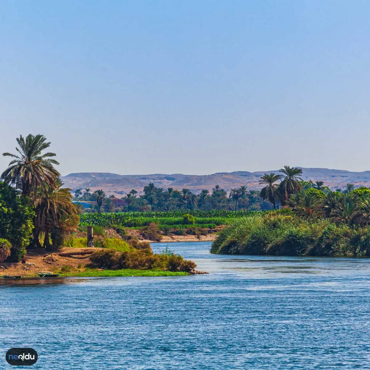 Nil Nehri Hakkında Bilgiler