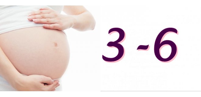 3-6-aylik-hamilelik.jpg