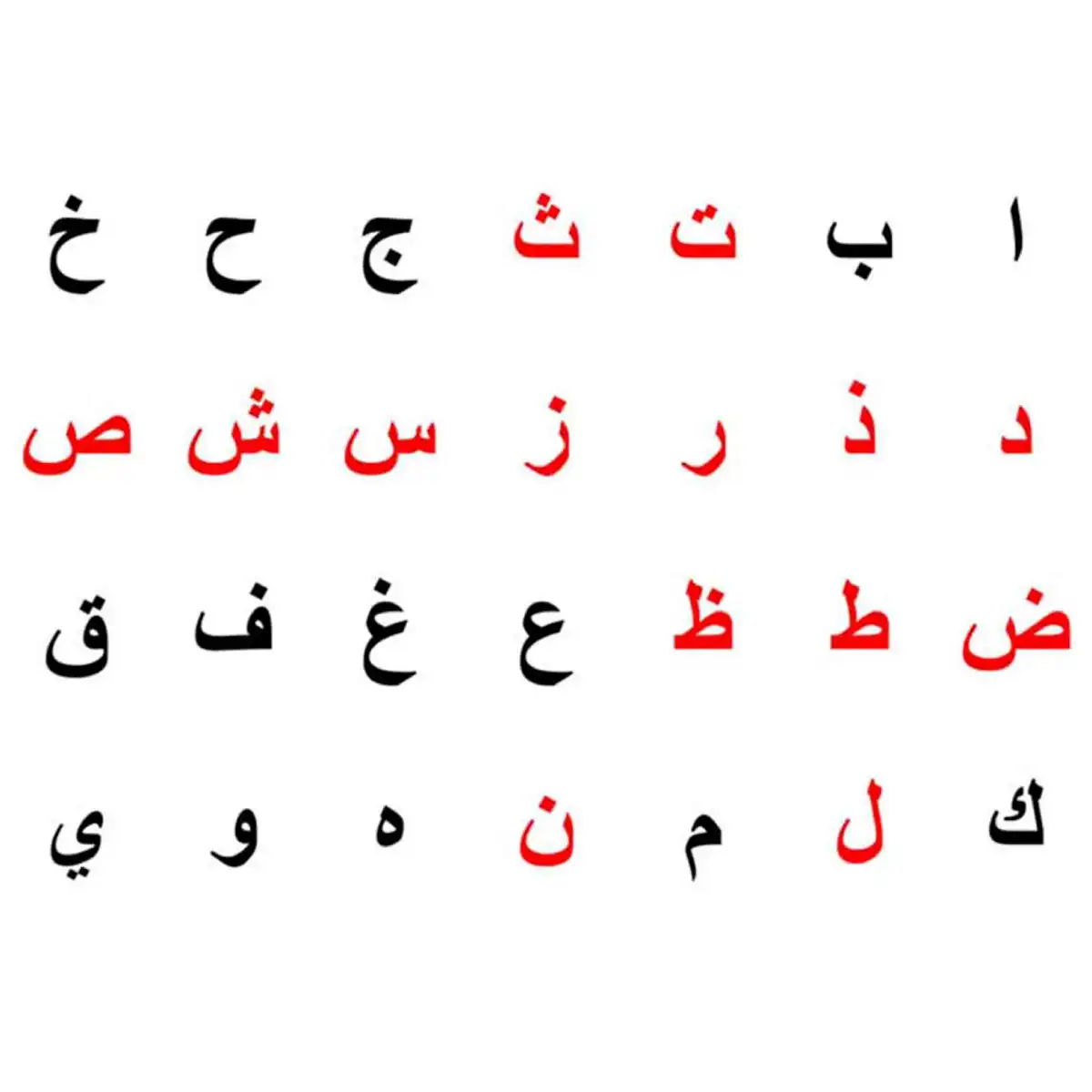 Türklerin Kullandığı Yazı Dilleri