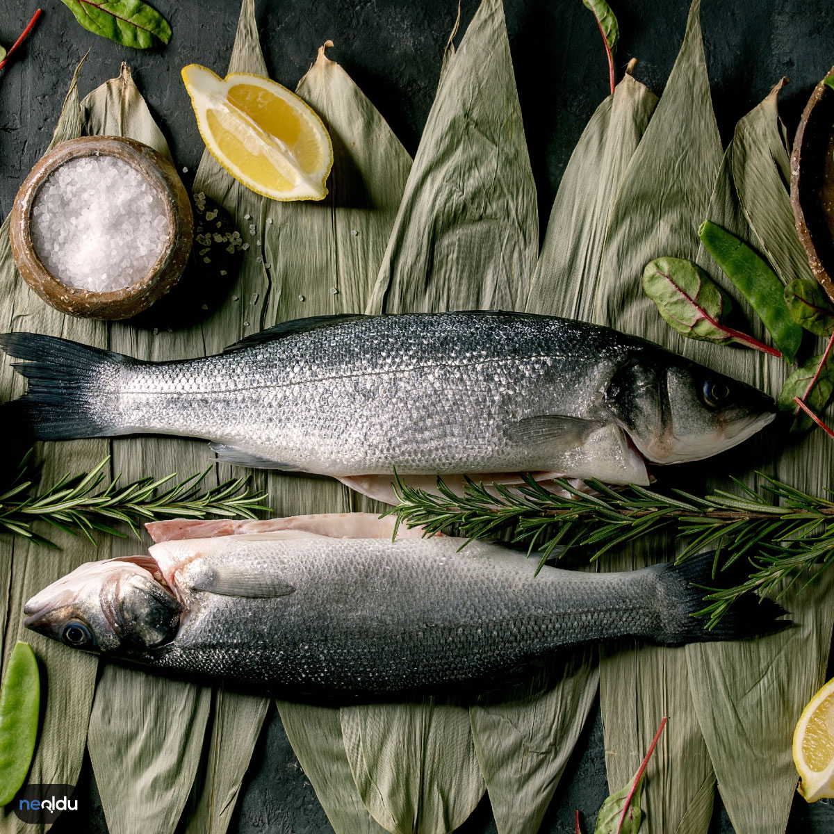 Hangi Mevsimde Hangi Balık Yenmeli?