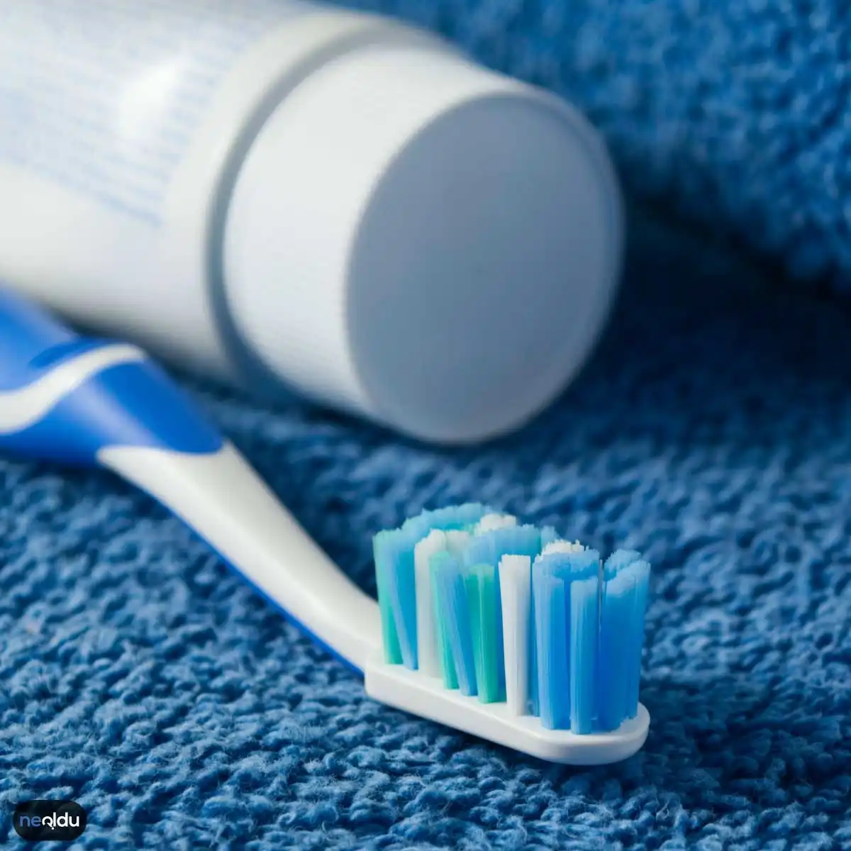 Diş Fırçası Temizliği Hakkında Bilgi