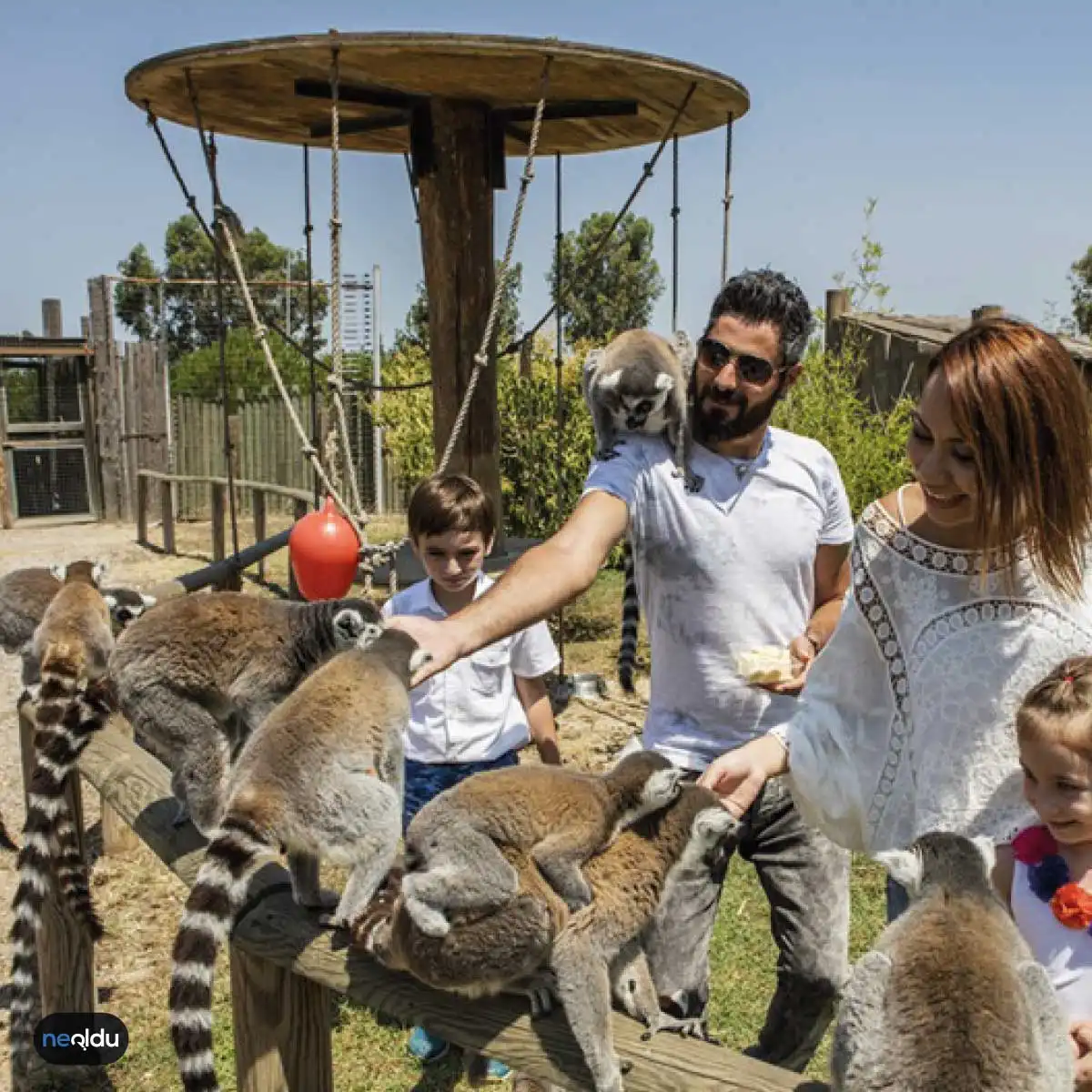 Türkiye'nin En İyi Hayvanat Bahçeleri