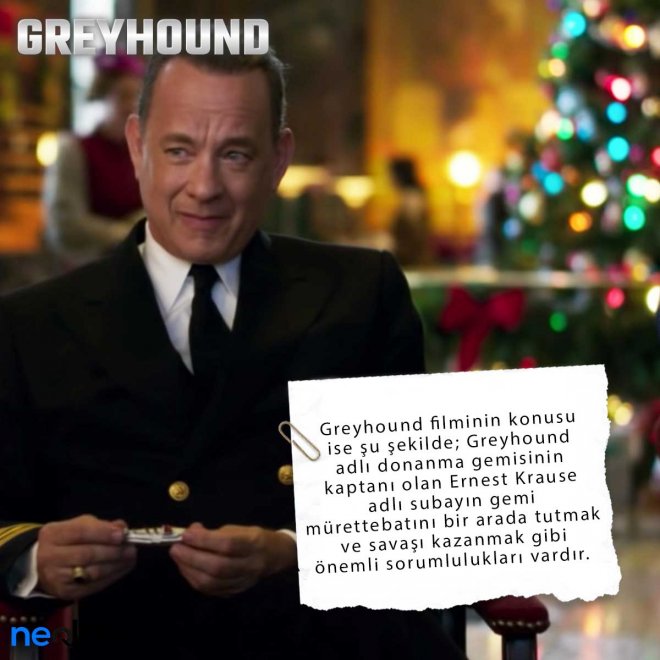 Greyhound5