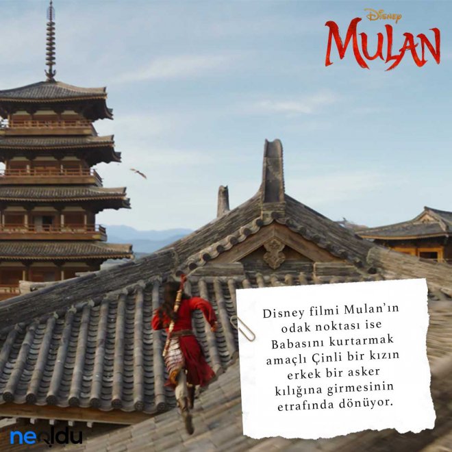 Mulan5