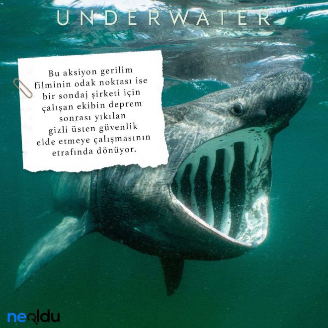 Underwater5