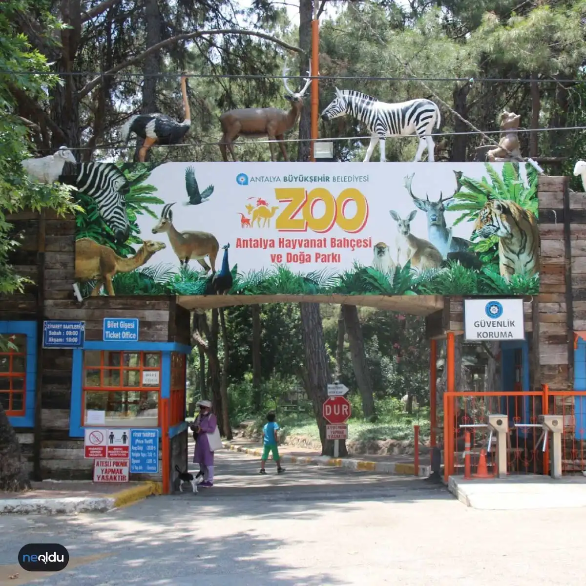 Türkiye'nin En İyi Hayvanat Bahçeleri