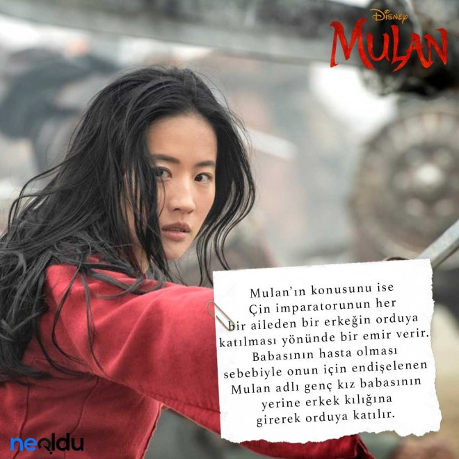 Mulan6