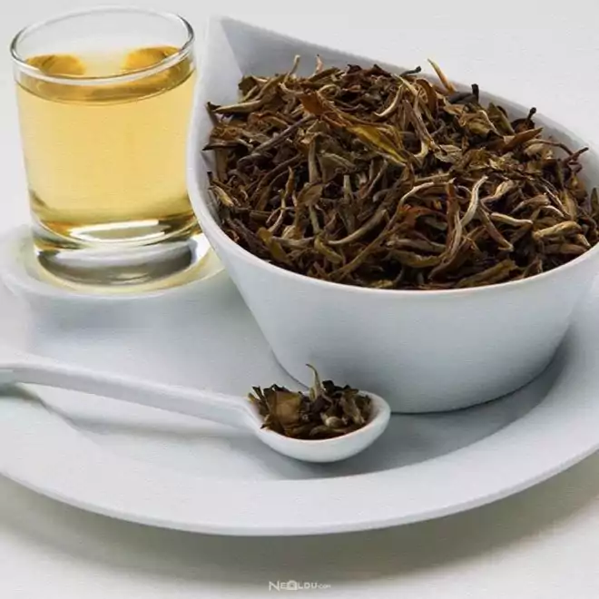Enerji Veren En İyi 10 Bitki Çayı Önerisi