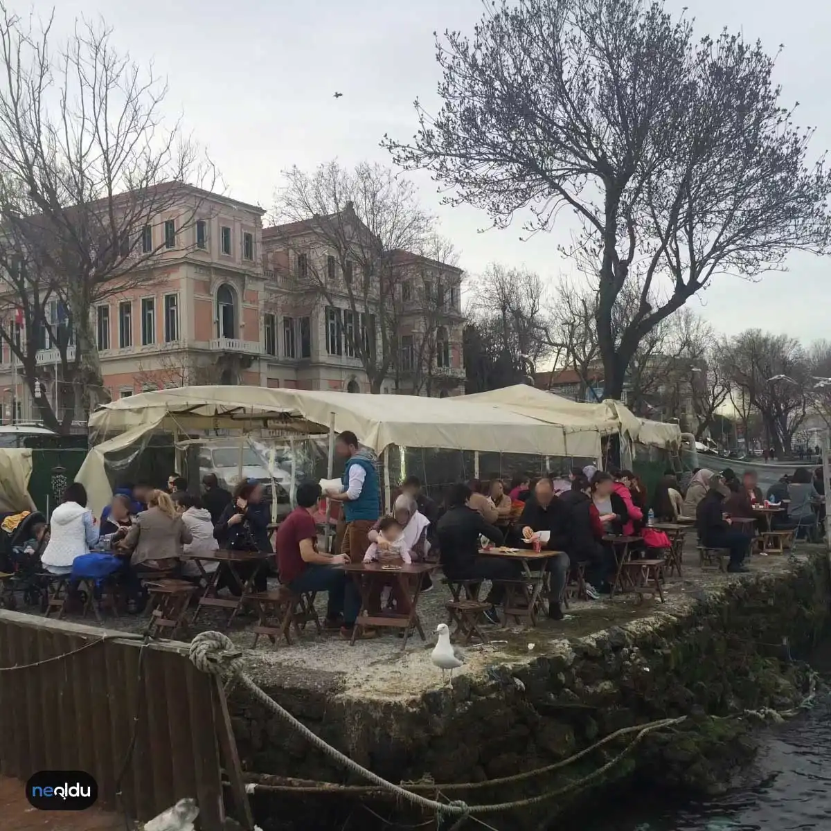 İstanbul'un En İyi Salaş Balıkçıları