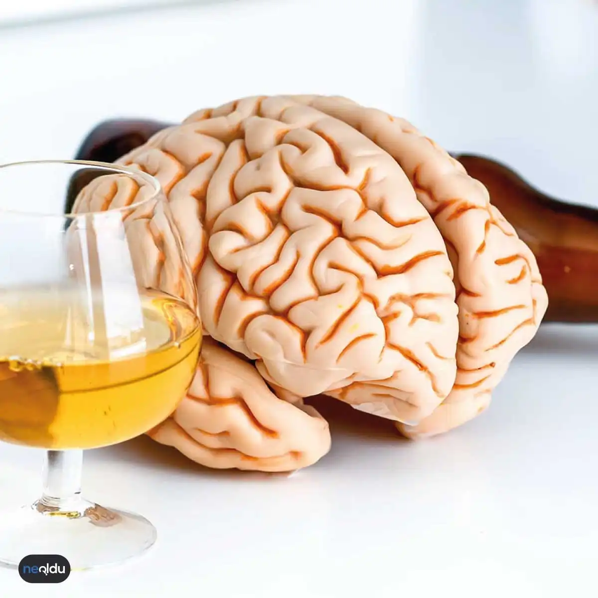 Alkol Beyni Nasıl Etkiler, Beyne Zarar Verir mi?