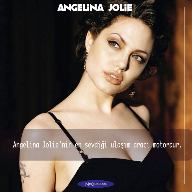 Angelina Jolie Hakkında İlginç Bilgi