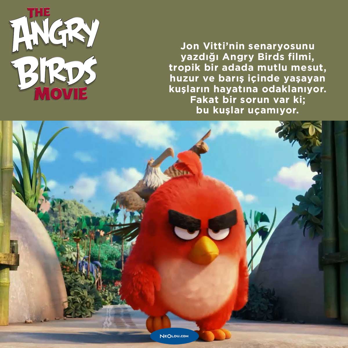 angry-birds-filmi-hakkinda-bilgi-.jpg