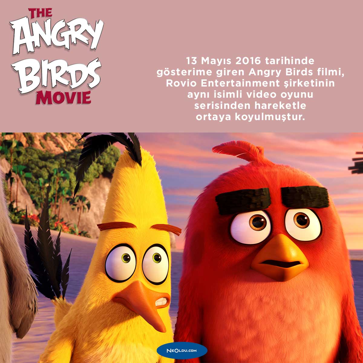 angry-birds-filmi-hakkinda.jpg