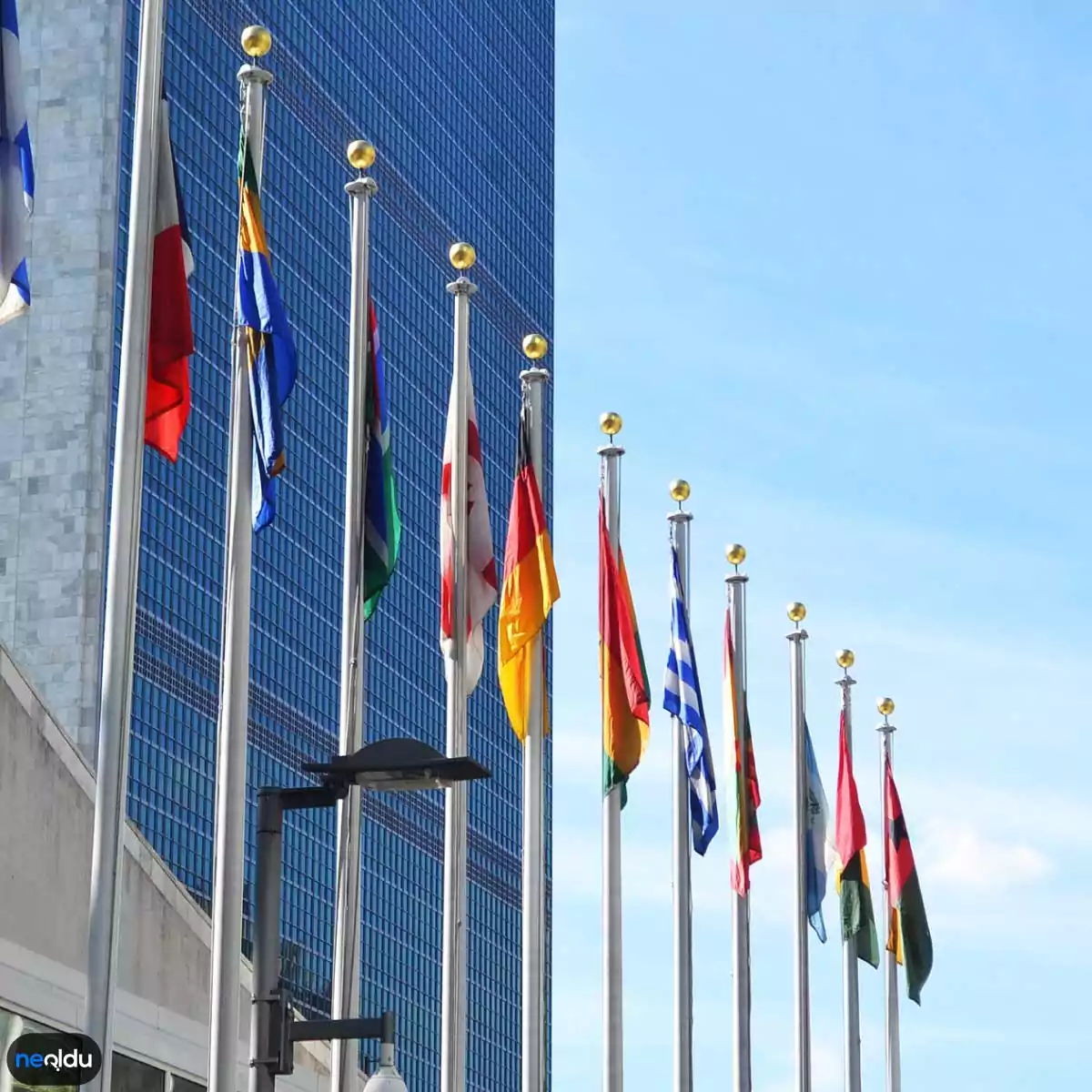 Birleşmiş Milletler ve Uzmanlık Kuruluşları
