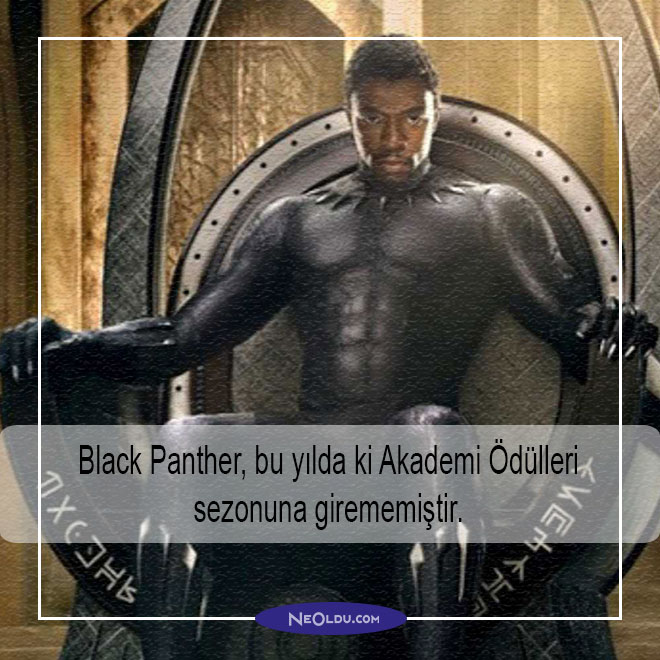 black panther hakkında bilgi