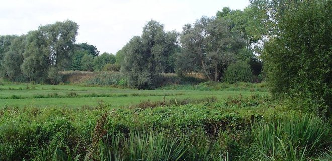bourgoyen-ossemeersen-nature-reserve.JPG