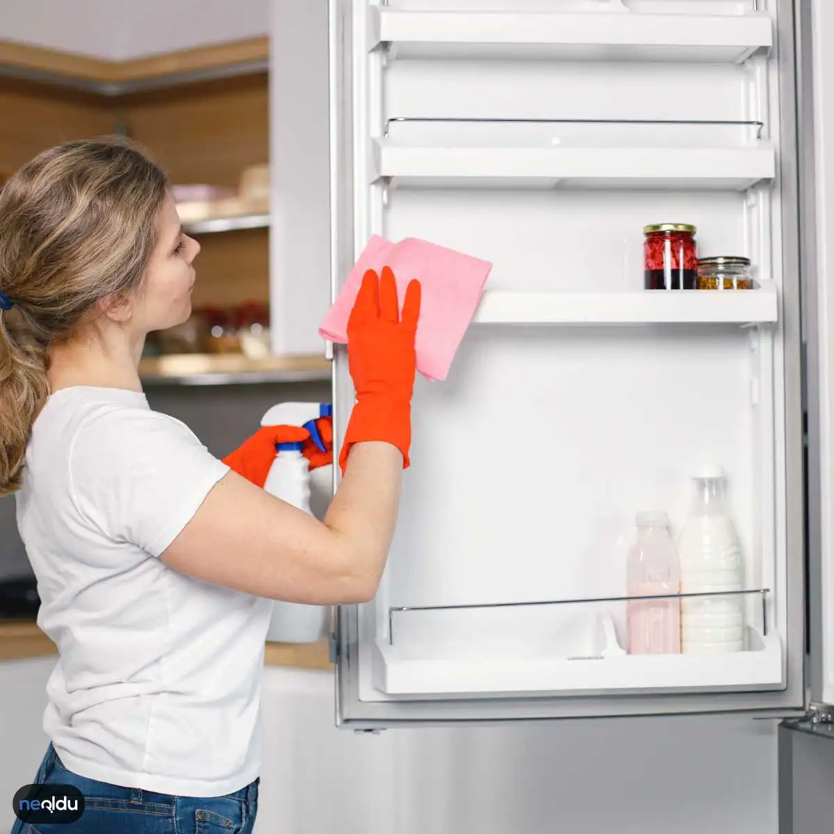 Buzdolabı Temizliği