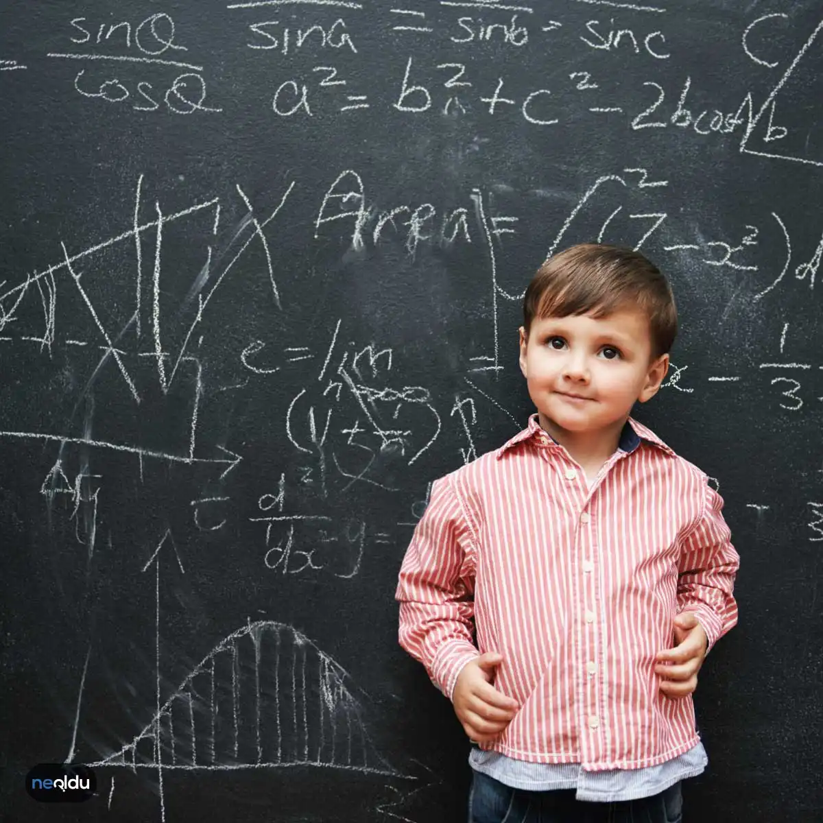 Çocuklara Matematik Nasıl Öğretilir?