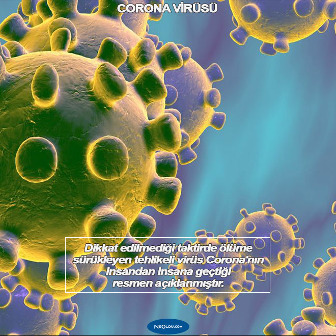 Corona Virüsü Hakkında Bilgi