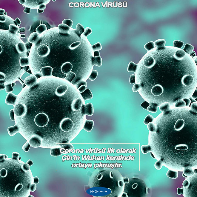 Corona Virüsü Hakkında Bilgi