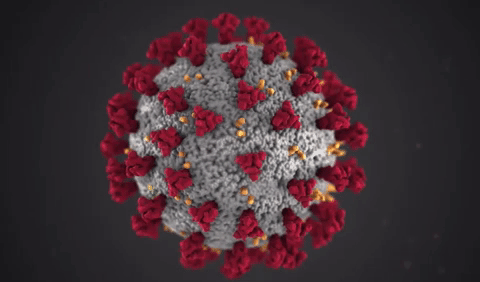 coronavirus,-explained-mini-dizi.gif