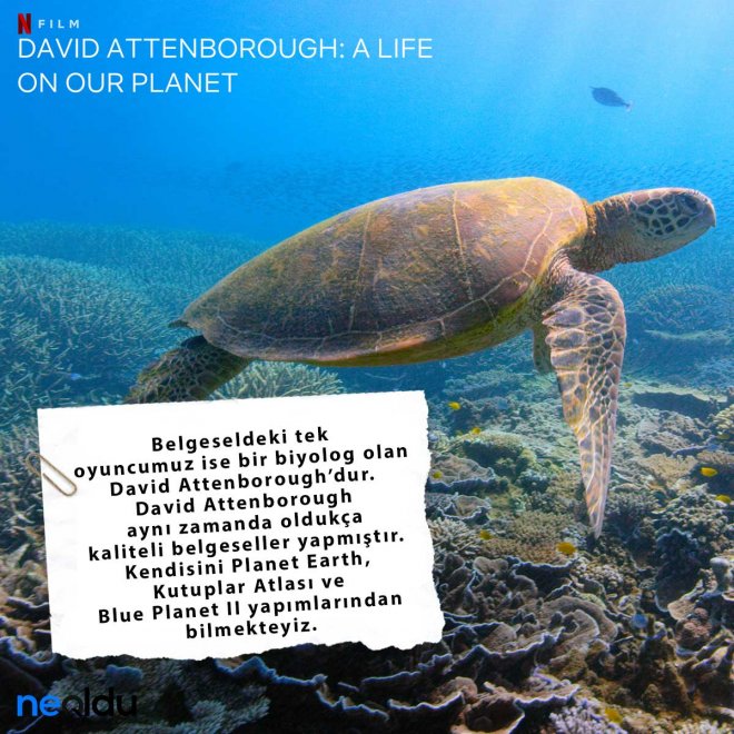 David Attenborough Gezegenimizden Bir Yaşam oyuncular