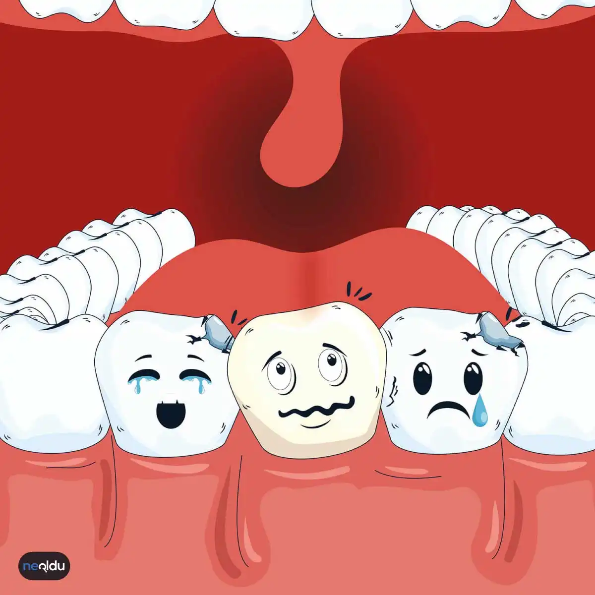 Diş Bakımı ve Diş Temizliği Nasıl Yapılmalı?