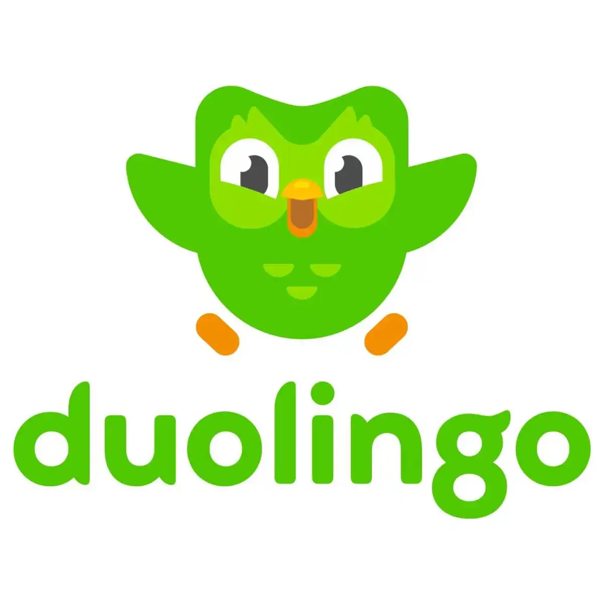 En İyi Online Eğitim Siteleri Duolingo