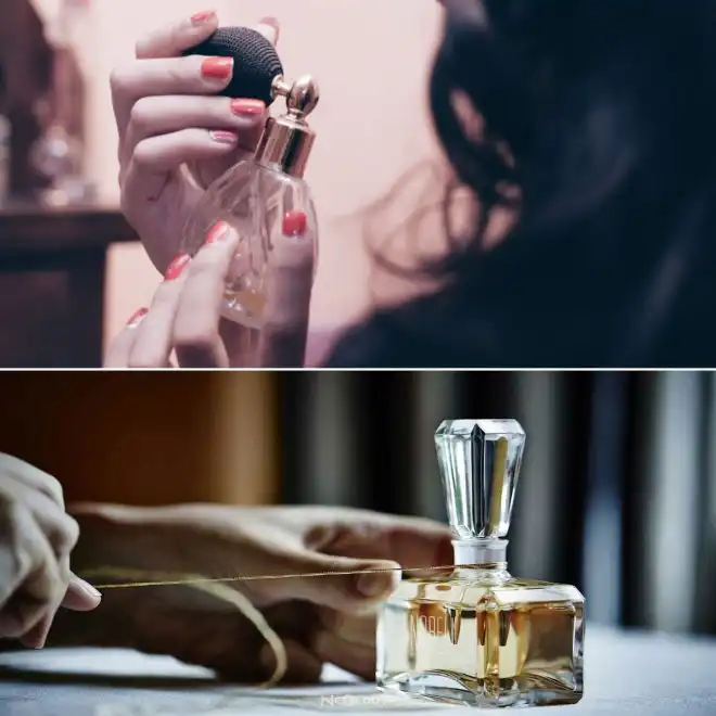 ParfümlerHakkında Bilinmesi Gerekenler