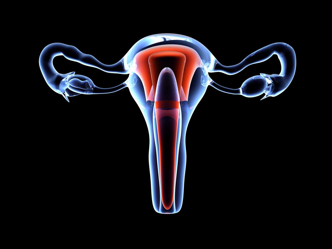 endometrial-poliplerin-belirtileri.jpg