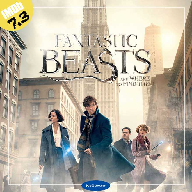 fantastic-beasts-and-where-to-find-them.jpg
