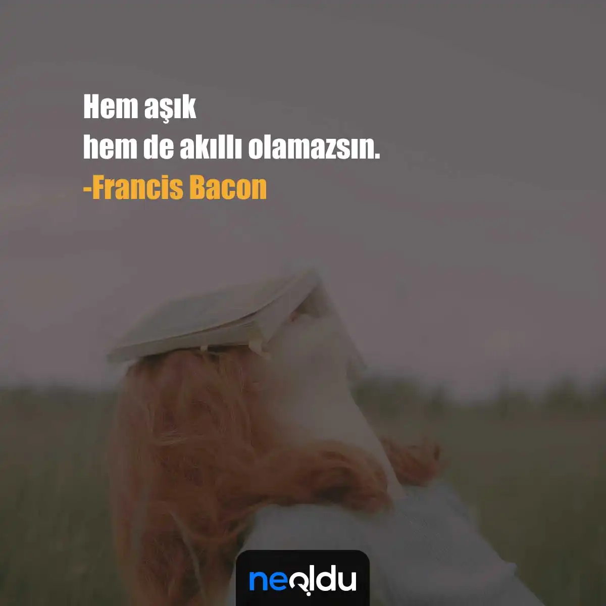 Francis Bacon Sözleri