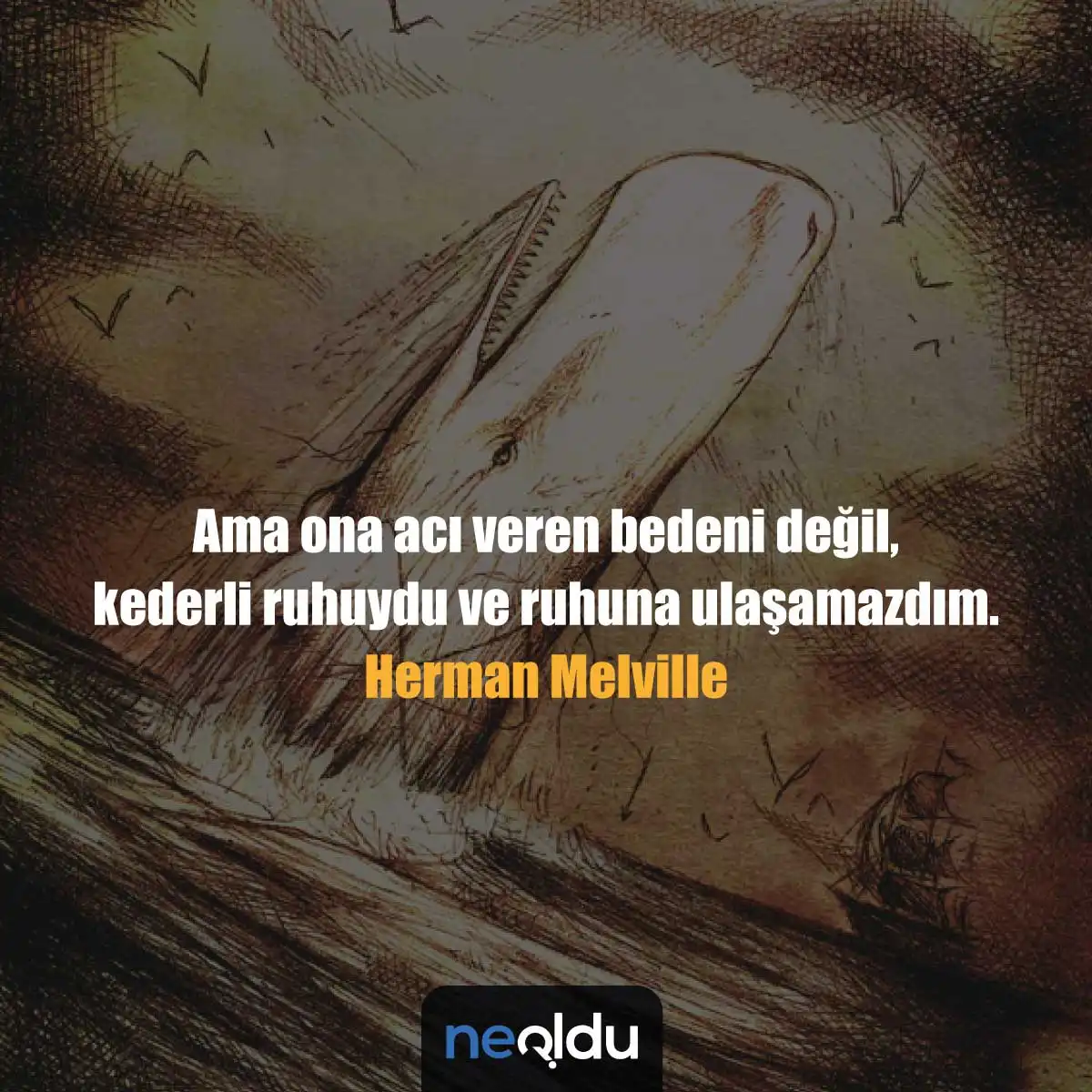 Herman Melville Sözleri