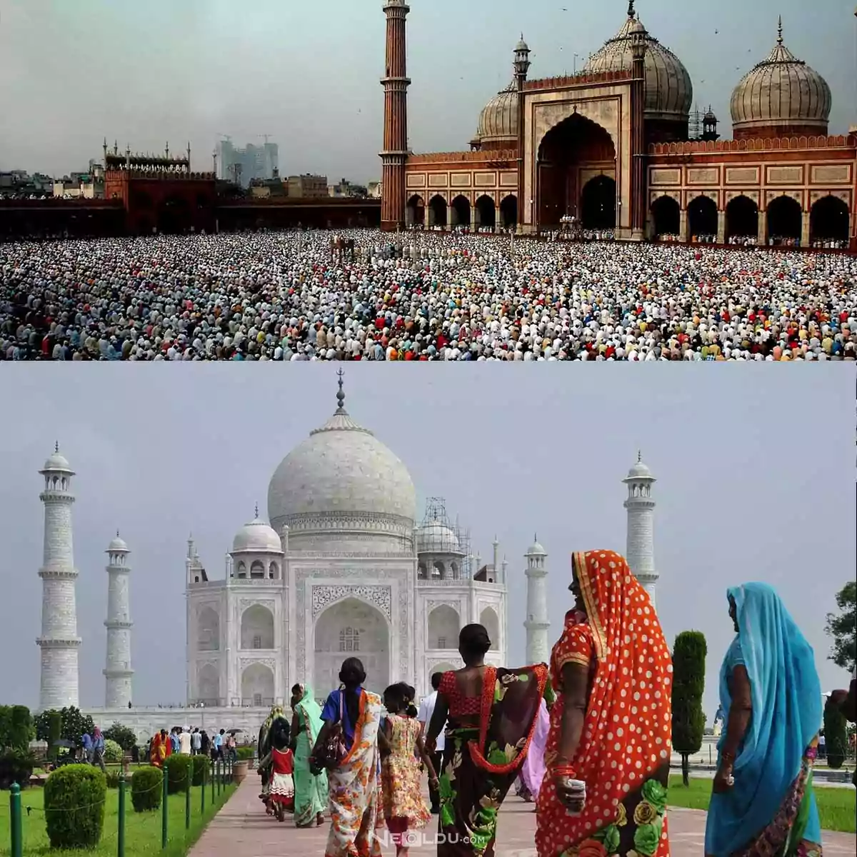 Hindistanda yaşayan dinler