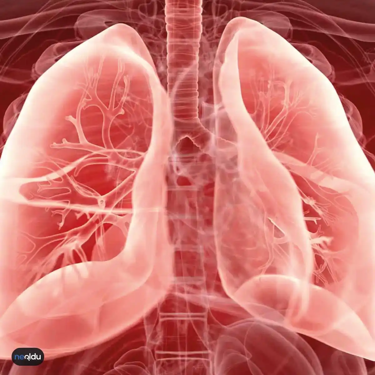 İnterstisyel akciğer hastalıkları