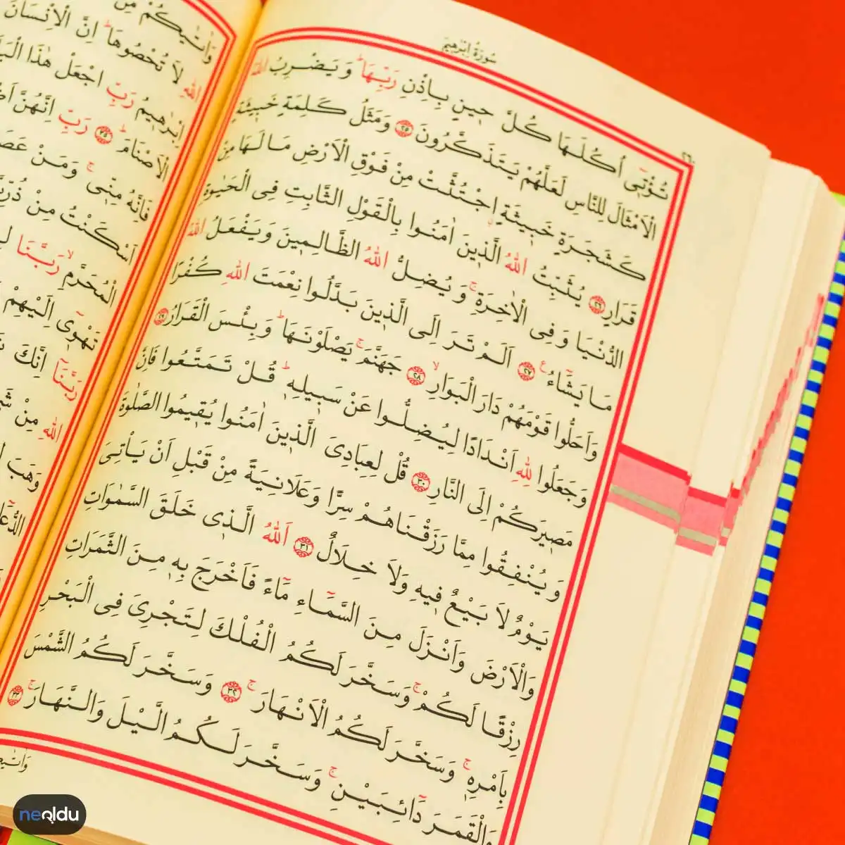 İslam Hakkında Bilgi