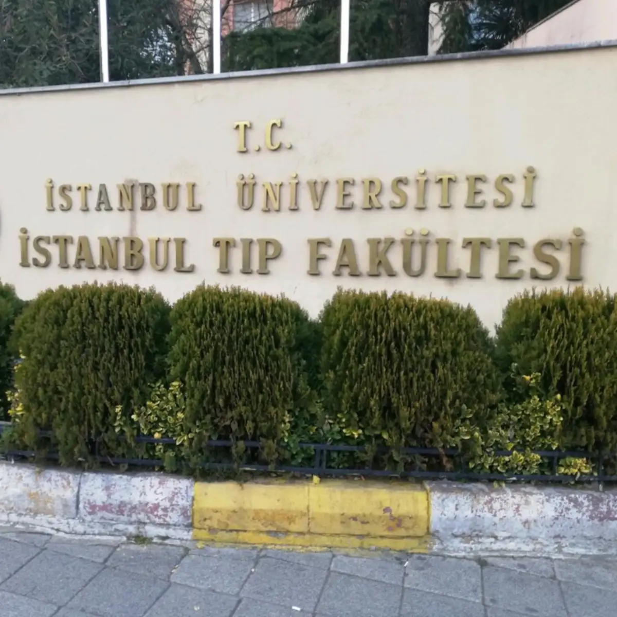 En İyi Tıp Fakülteleri İstanbul Üniversitesi